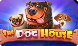 Jet4Bet – The Dog House